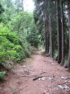 Waldweg
