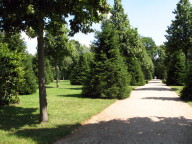 Im Schlosspark