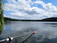 Angelegt an der Weide