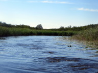M&uuml;ndung des Th&uuml;ren